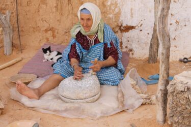 チュニジアの就業状況：就業率、失業率、職業構成比、労働生産性を確認