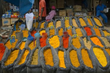 モザンビークの就業状況：就業率、失業率、職業構成比、労働生産性を確認