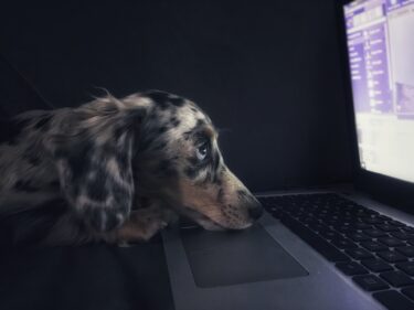 2022年版アフリカ企業の時価総額Top250